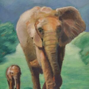 Elephant Walk by Emily Holsman