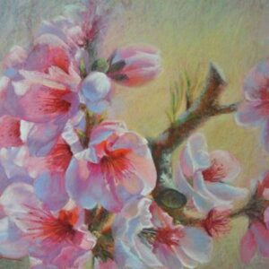 Orchard Blossom by Linda Finch