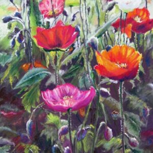 Poppies Pastel by Kate Collins