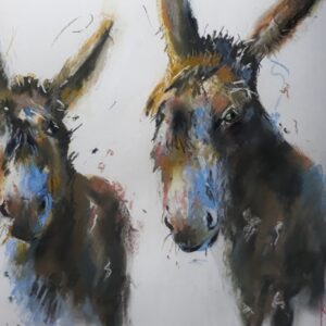 Donkeys by Kate Collins